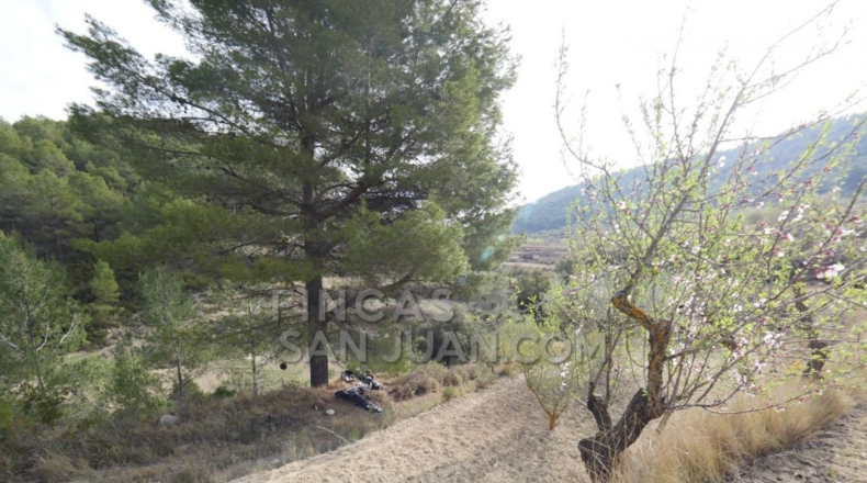 Alicante - Torremanzanas - 37252m2