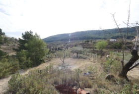 Torremanzanas 37252&nbsp;m²