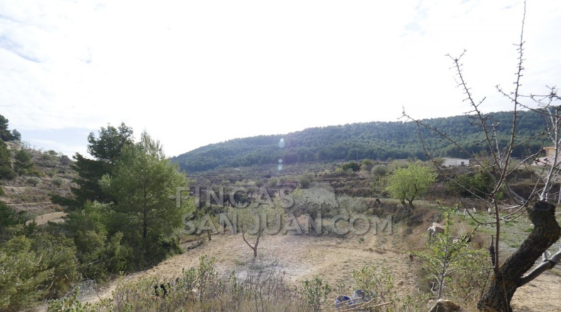 Alicante - Torremanzanas - 37252m2