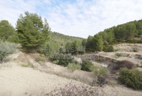 Torremanzanas 37252&nbsp;m²
