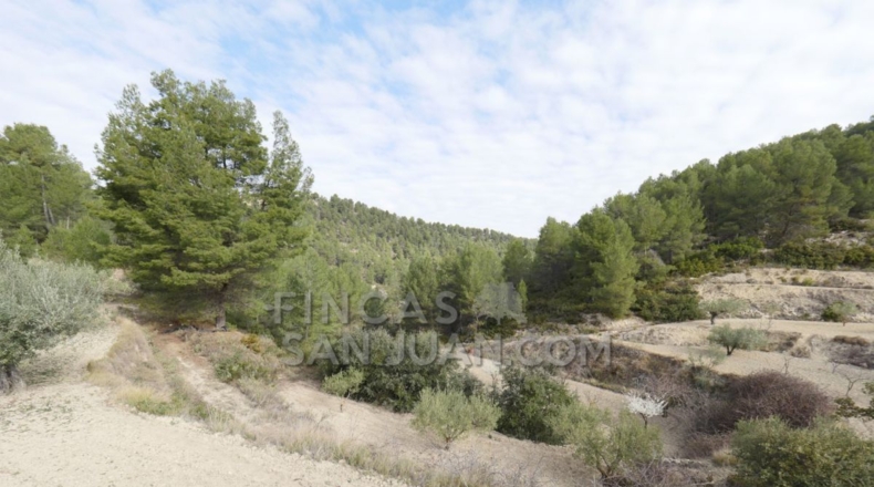 Alicante - Torremanzanas - 37252m2