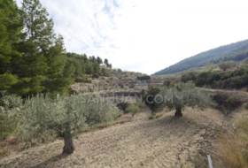 Torremanzanas 37252&nbsp;m²