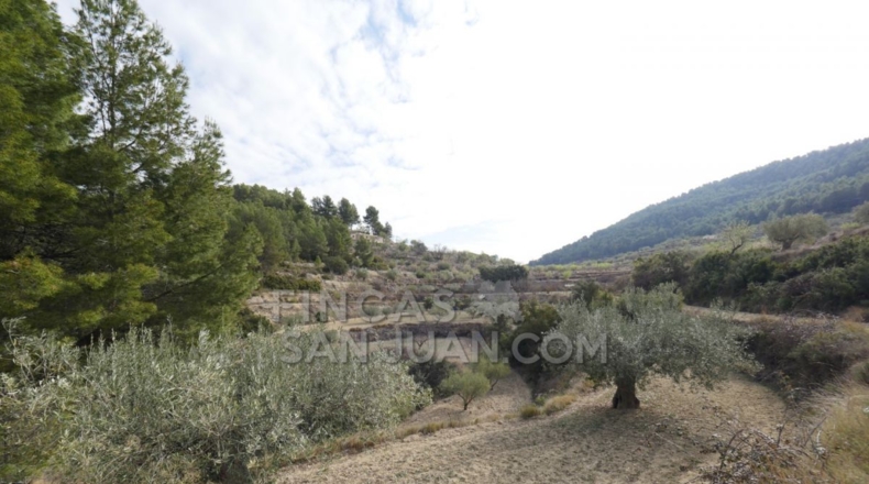 Alicante - Torremanzanas - 37252m2