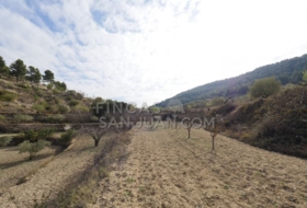 Torremanzanas 37252&nbsp;m²