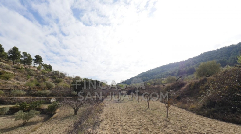 Alicante - Torremanzanas - 37252m2