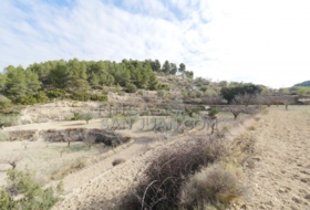 Torremanzanas 37252&nbsp;m²