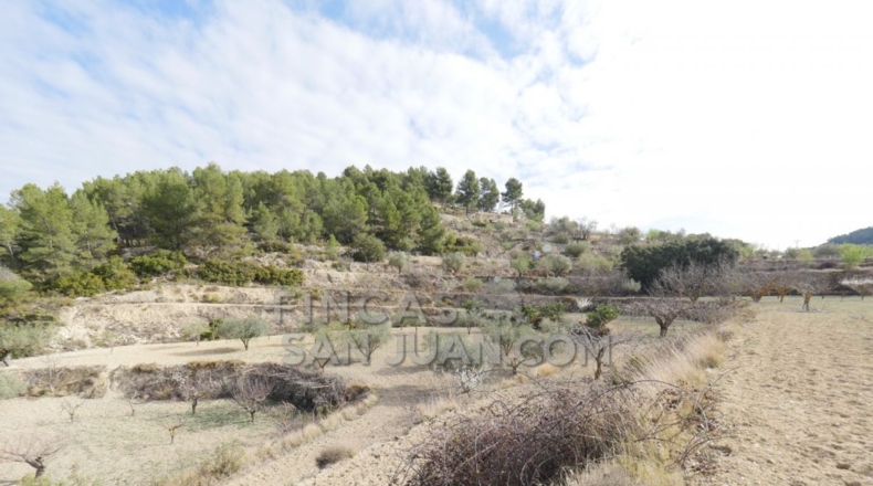 Alicante - Torremanzanas - 37252m2