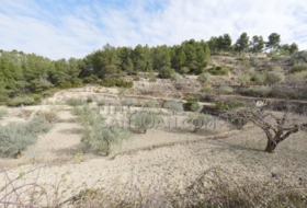 Torremanzanas 37252&nbsp;m²
