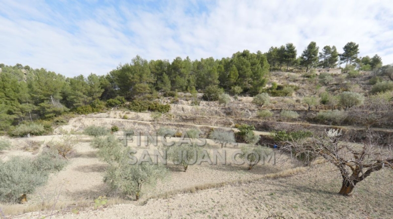 Alicante - Torremanzanas - 37252m2