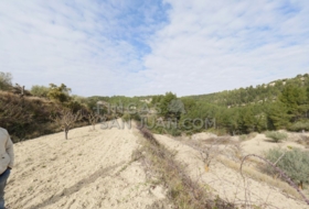 Torremanzanas 37252&nbsp;m²