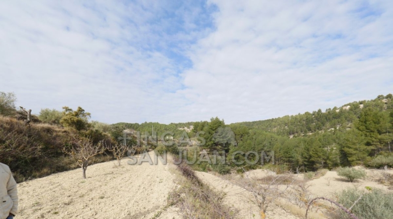Alicante - Torremanzanas - 37252m2