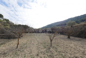Torremanzanas 37252&nbsp;m²