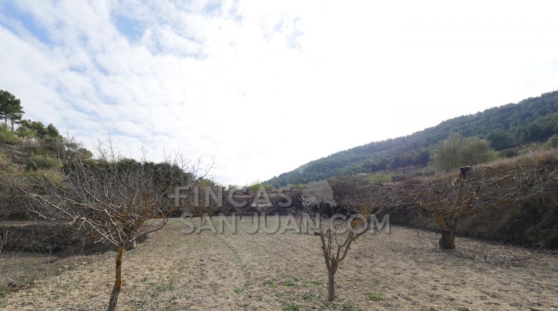 Alicante - Torremanzanas - 37252m2