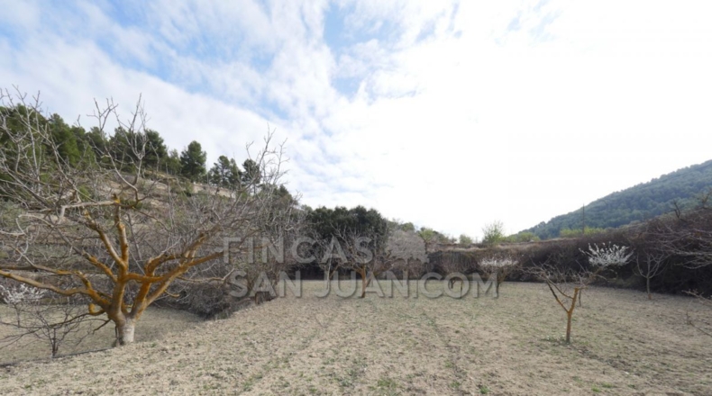 Alicante - Torremanzanas - 37252m2