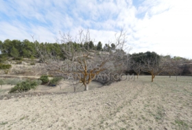 Torremanzanas 37252&nbsp;m²