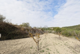 Torremanzanas 37252&nbsp;m²