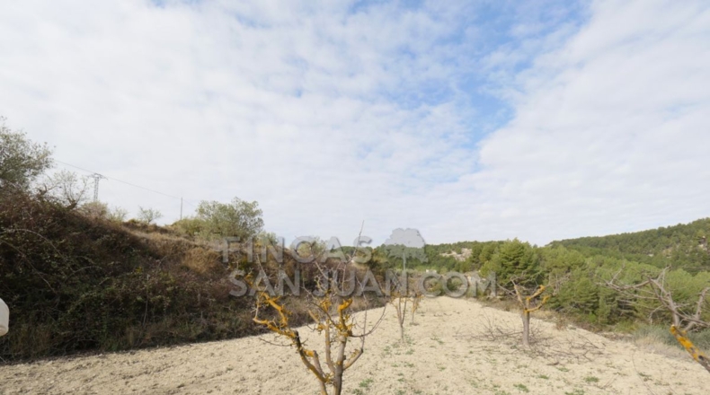 Alicante - Torremanzanas - 37252m2