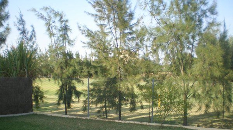 Sevilla - Aznalcázar - 400m2