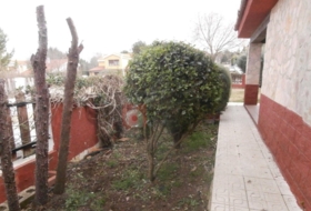 Foto 19