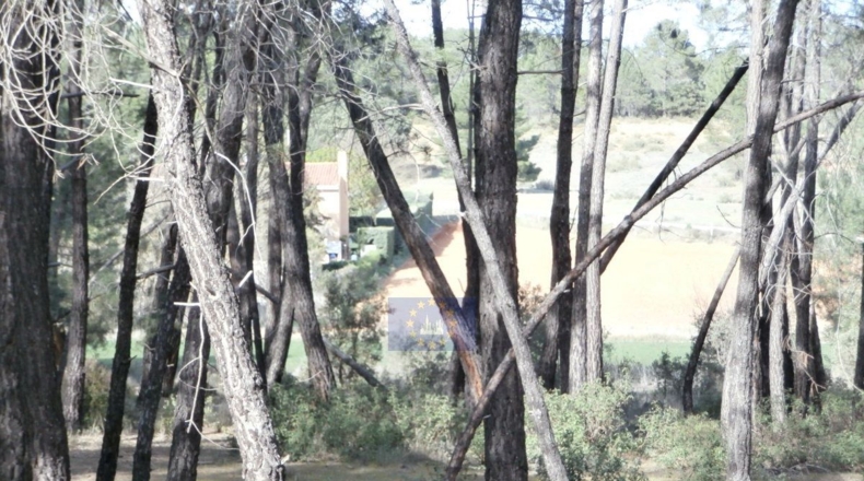 Cuenca - Jábaga - 15000m2