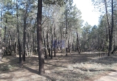 Non-developable land for sale in Jábaga ref: TR11739 photo