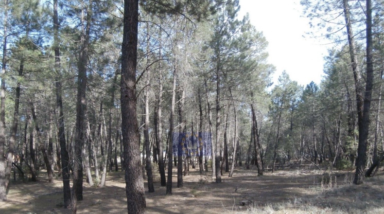 Cuenca - Jábaga - 15000m2