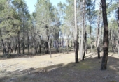 Non-developable land for sale in Jábaga ref: TR11739 photo