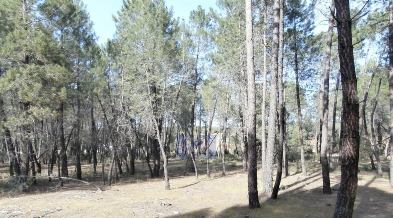 Cuenca - Jábaga - 15000m2
