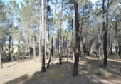 Non-developable land for sale in Jábaga ref: TR11739 photo