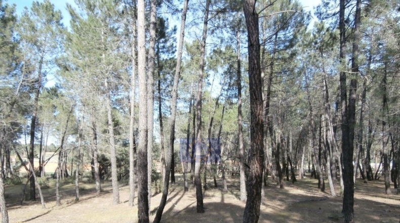 Cuenca - Jábaga - 15000m2