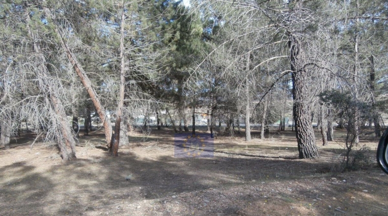 Cuenca - Jábaga - 15000m2