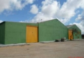 Industrial warehouse for sale in Mota del Cuervo ref: TR48179 photo