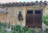 Chalet independiente con terreno en venta en Villalba de la Sierra ref: TR77204 foto