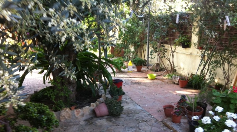 Castellón - Benicasim - 280m2
