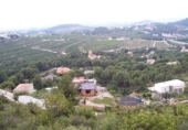 Parcel·la urbanitzable en venda a Borriol ref.: TR11747 foto