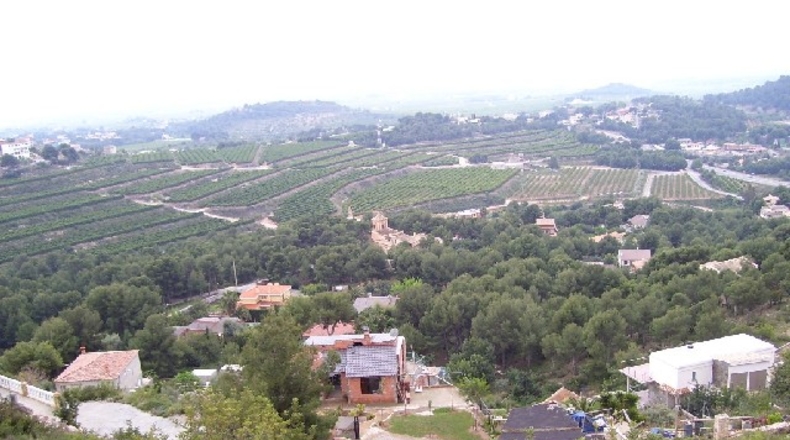 Castellón - Borriol - 1250m2