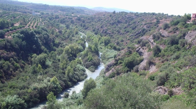 Castellón - Onda - 300m2