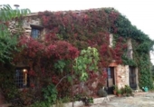 Villa con terreno en venta en Castellón de la Plana ref: TR73123 foto