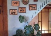 Villa con terreno en venta en Castellón de la Plana ref: TR73123 foto