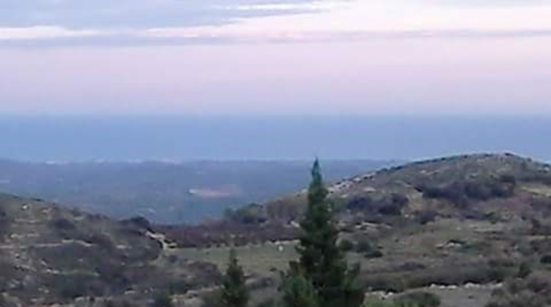 Castellón - Castelló de la Plana - 600m2