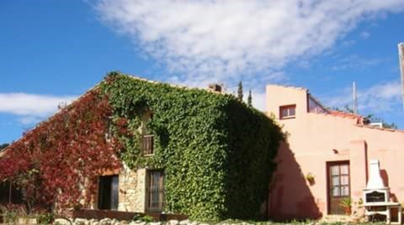 Castellón - Castelló de la Plana - 600m2