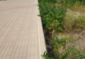 Sòl urbà en venda a Castelló de la Plana ref.: TR11753 foto