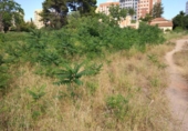 Sòl urbà en venda a Castelló de la Plana ref.: TR11753 foto