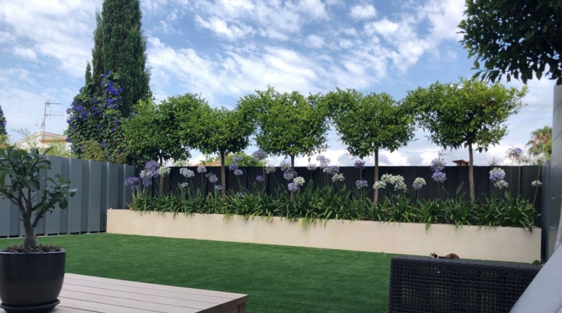 Castellón - Castelló de la Plana - 500m2