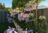 Villa con terreno en venta en Castellón de la Plana ref: TR12007 foto