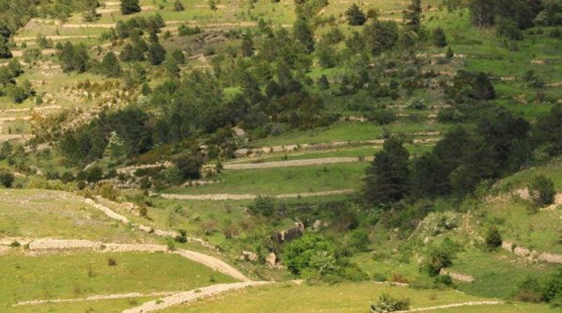 Castellón - Boixar - 125m2