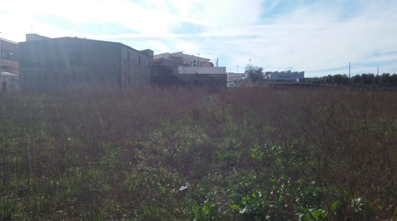 Castellón - San Mateo - 10320m2