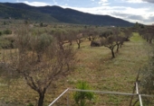Finca rústica en venda a la Serra d'en Galceran ref.: TR13275 foto