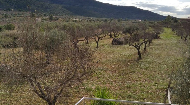 Castellón - Sierra Engarcerán - 20000m2