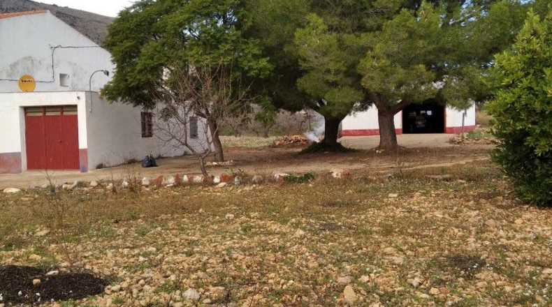Castellón - Sierra Engarcerán - 20000m2